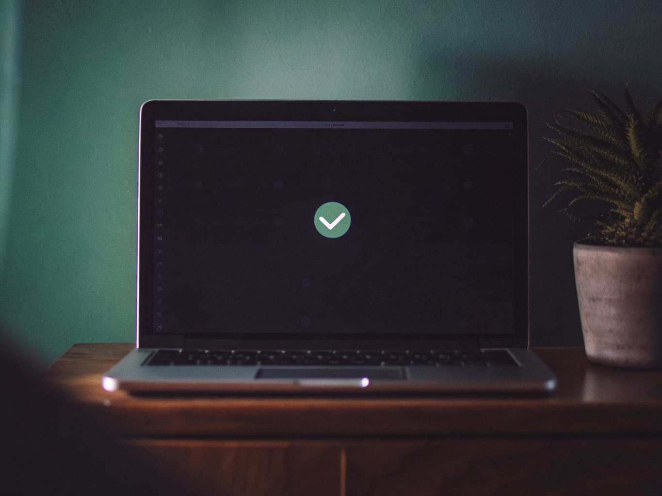 A laptop screen showing a domain search result with a green checkmark, next to a small potted plant on a wood desk