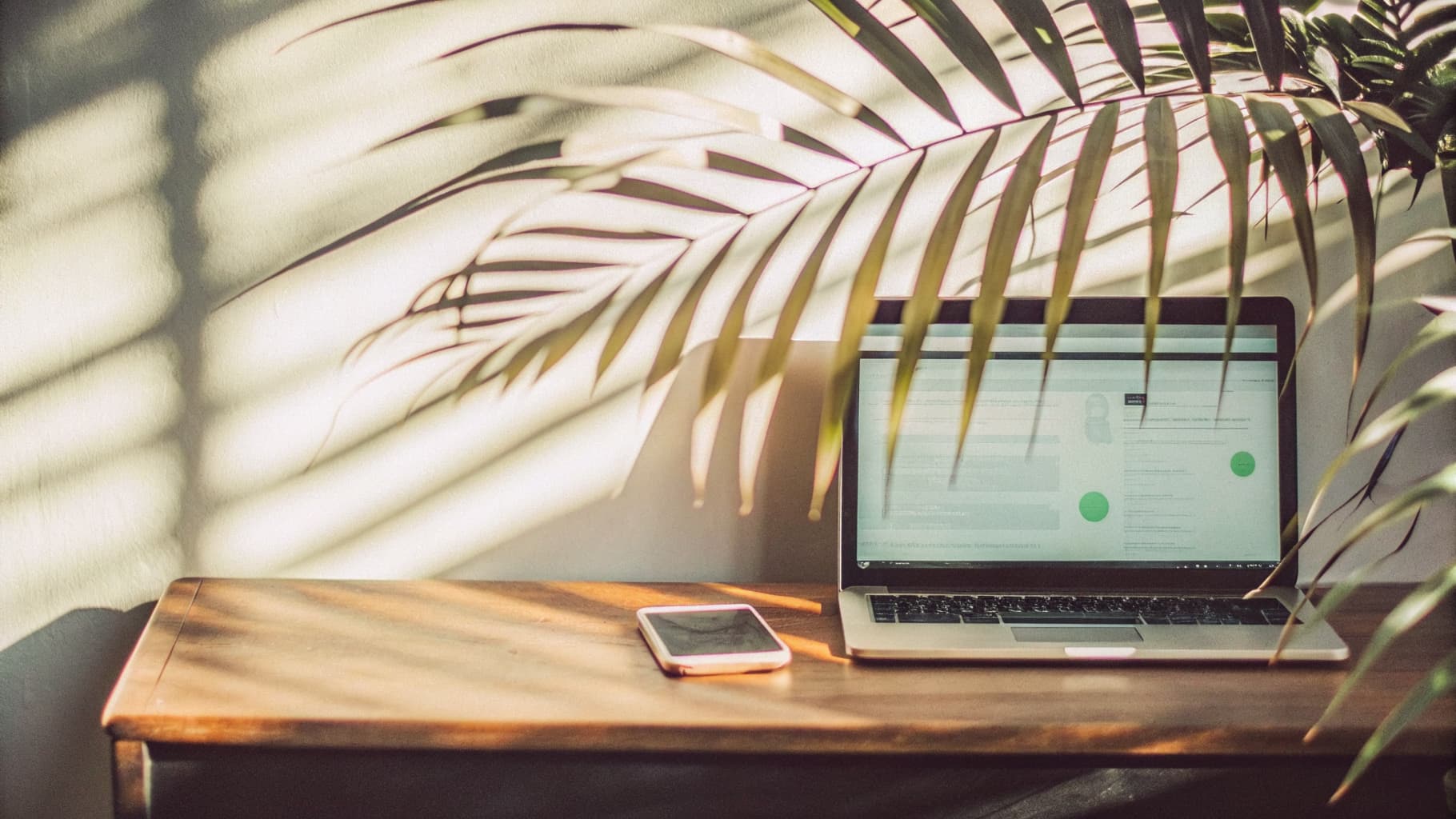 A laptop and phone on a wood desk showing a simple social ads dashboard, with tropical leaf shadows falling across the desk