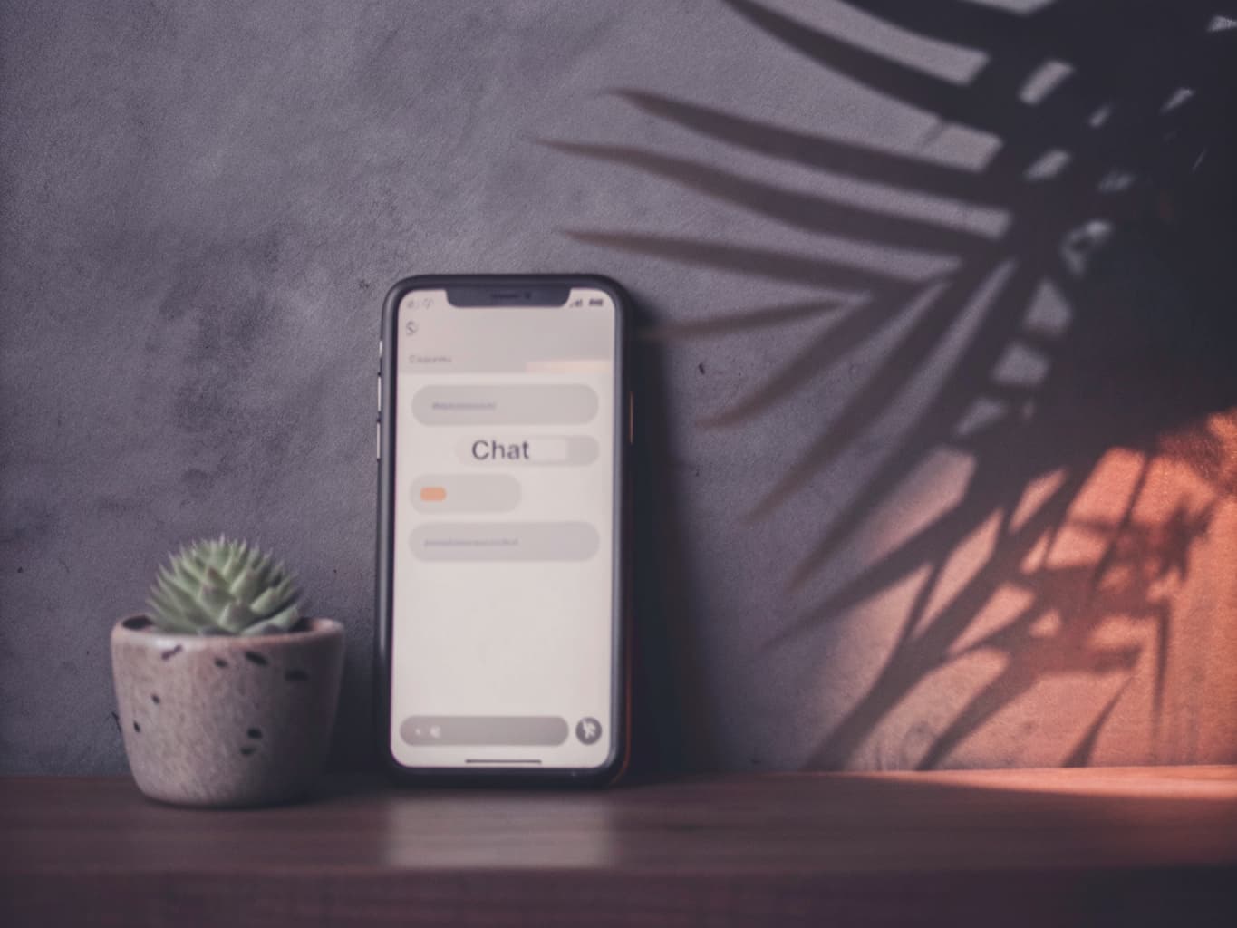 A phone on a wood desk showing a simple chat messaging interface, next to a small potted succulent
